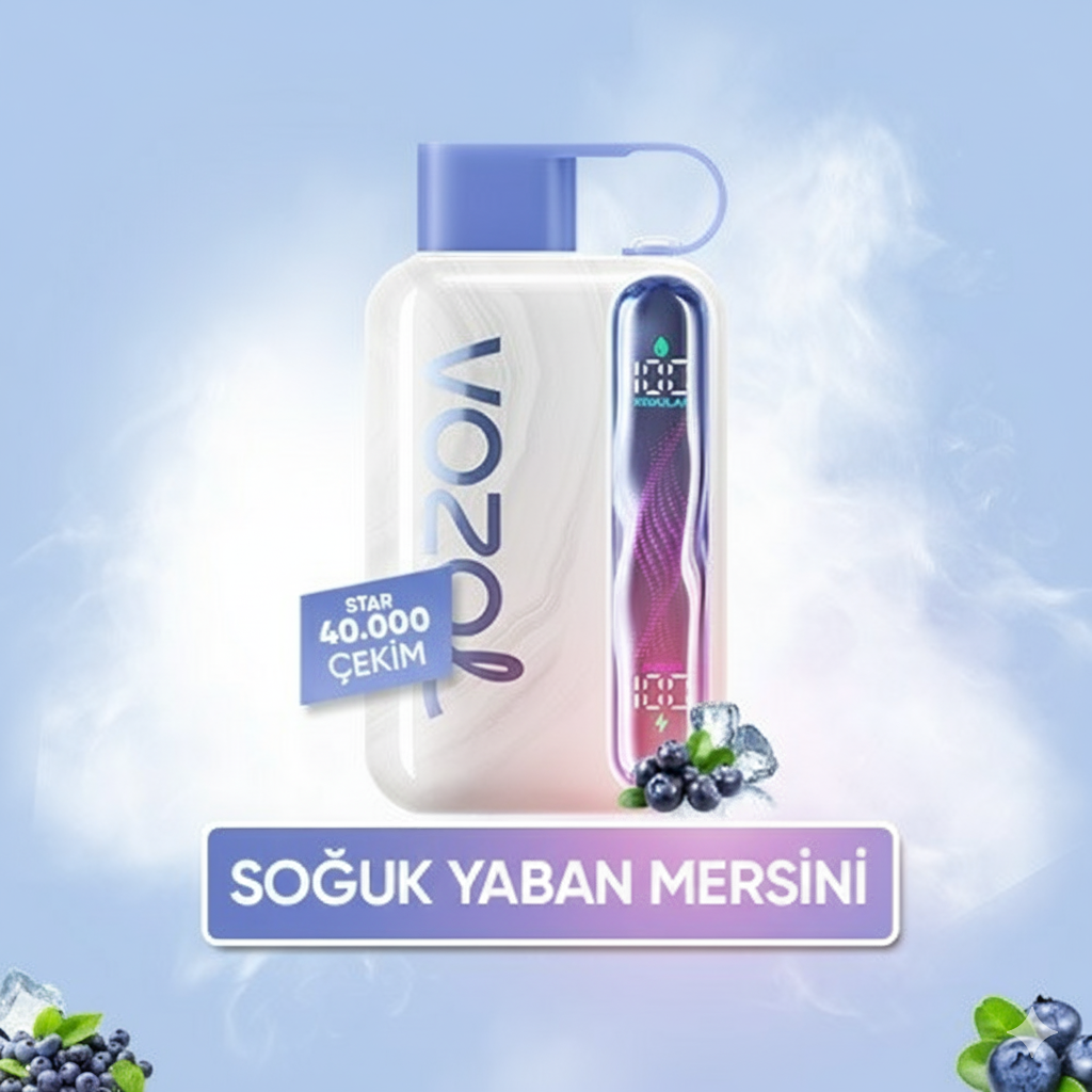 Blueberry Ice - Star 40000 PUFF