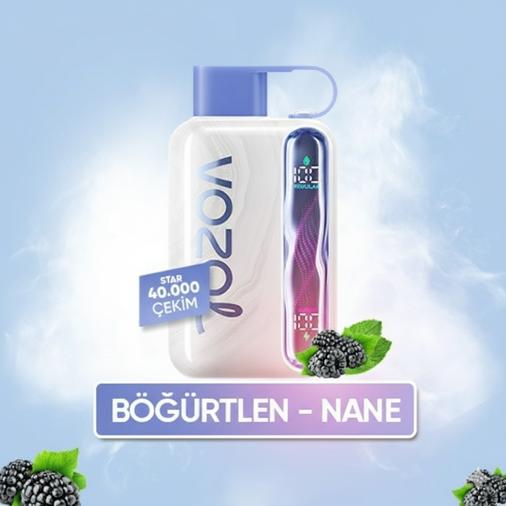 Blueberry Mint - Star 40000 PUFF
