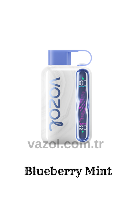 Blueberry Mint - Star 40000 PUFF elektronik sigara puff puf