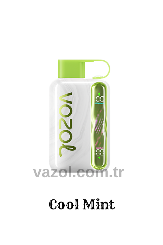Cool Mint - Star 40000 PUFF elektronik sigara puff puf