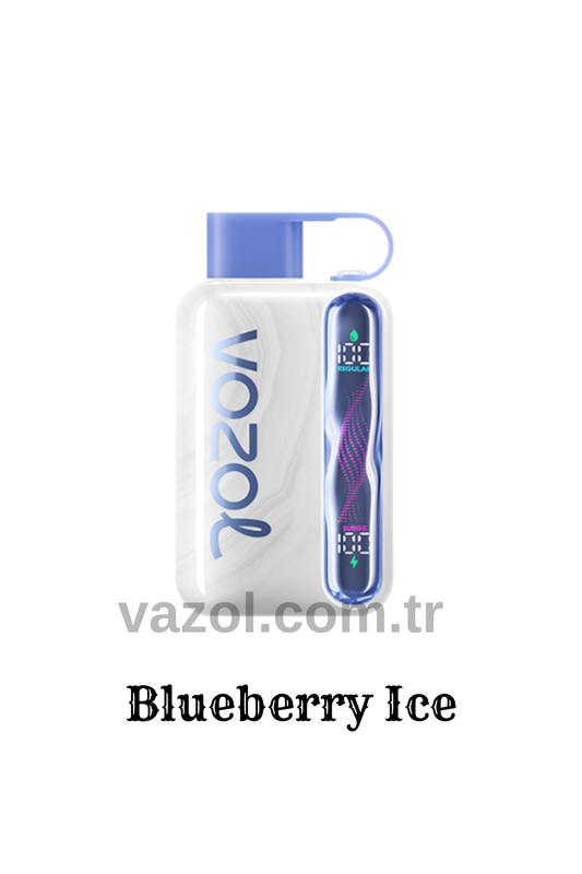 Blueberry Ice - Star 40000 PUFF elektronik sigara puff puf