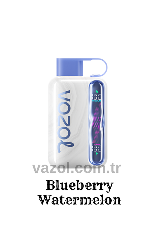 Blueberry Watermelon - Star 40000 PUFF elektronik sigara puff puf