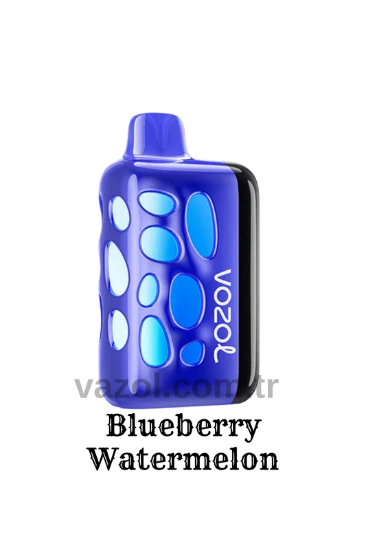 Blueberry Watermelon - Rave 40000 PUFF elektronik sigara puff puf
