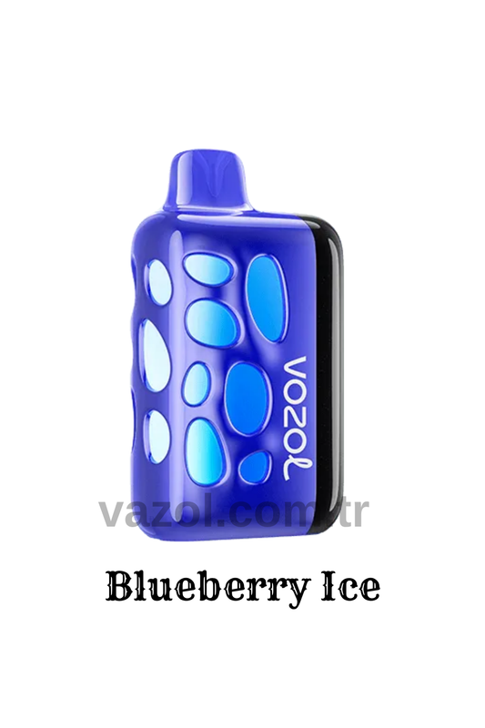 Blueberry Ice - Rave 40000 PUFF elektronik sigara puff puf