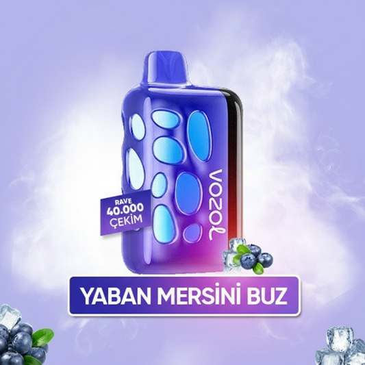 Blueberry Ice - Rave 40000 PUFF