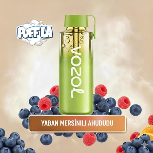 Blueberry Sour Raspberry Neon 12000 Pro PUFF puf vozol