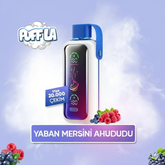 Blueberry Storm Star 20000 PUFF puf vozol