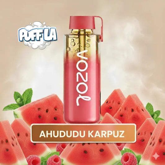 Raspberry Watermelon Neon 12000 Pro PUFF puf vozol