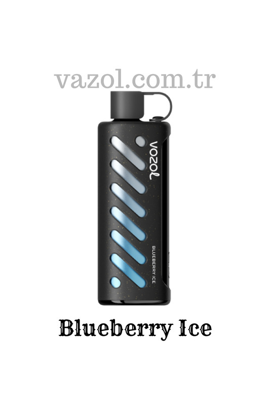 Blueberry Ice - PUFF Gear Shisha 25000 elektronik sigara puff puf