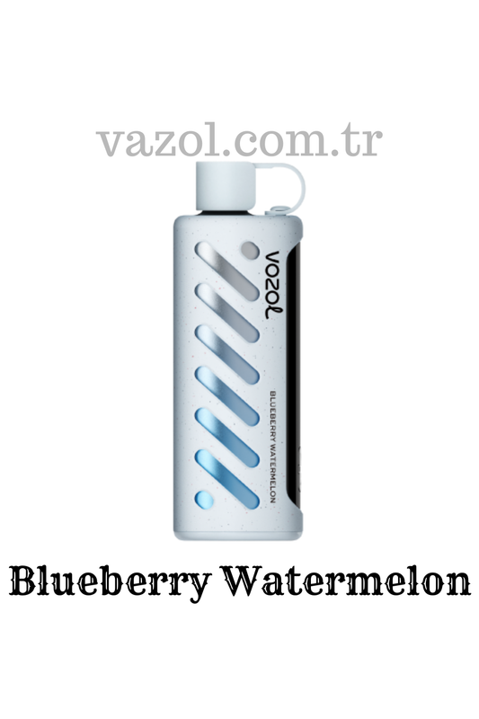 Blueberry Watermelon - PUFF Gear Shisha 25000 elektronik sigara puff puf
