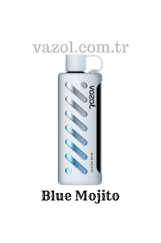 Blue Mojito - PUFF Gear Shisha 25000 elektronik sigara puff puf