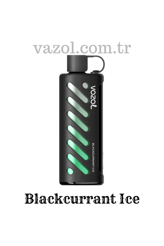 Blackcurrant Ice - PUFF Gear Shisha 25000 elektronik sigara puff puf