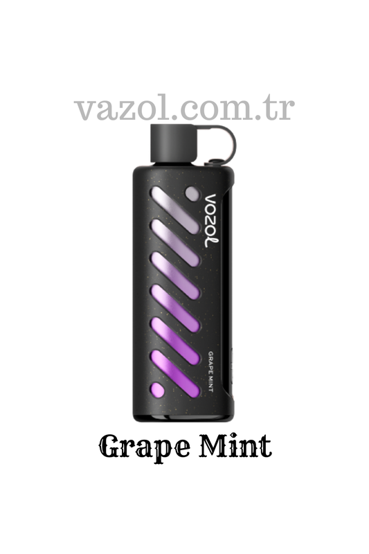 Grape Mint - PUFF Gear Shisha 25000 elektronik sigara puff puf