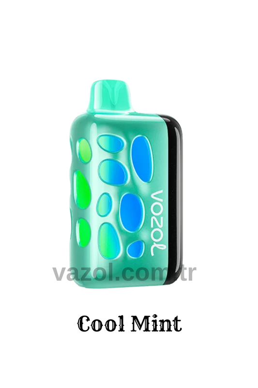 Cool Mint - Rave 40000 PUFF elektronik sigara puff puf